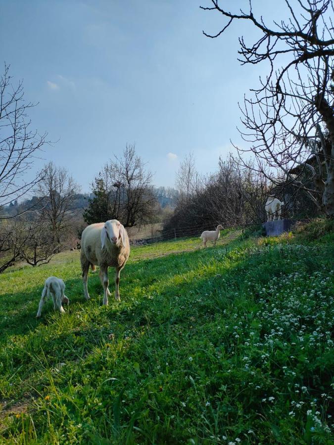B&B Naturin - Cascina Colombaro Lauriano Extérieur photo